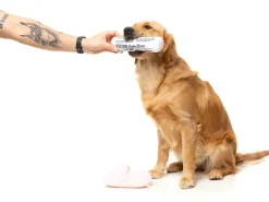 Fetch My Slippers & Paper 2PK - Dog Toy