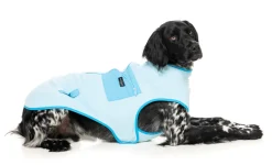 Fitzroy Jacket - Blue