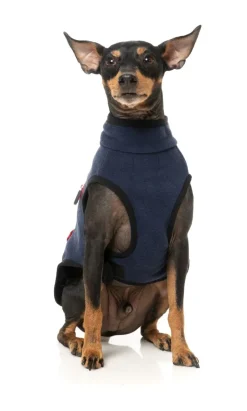 Fitzroy Jacket - Navy