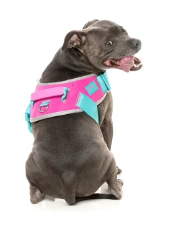 Flash Harness - Bubblegum