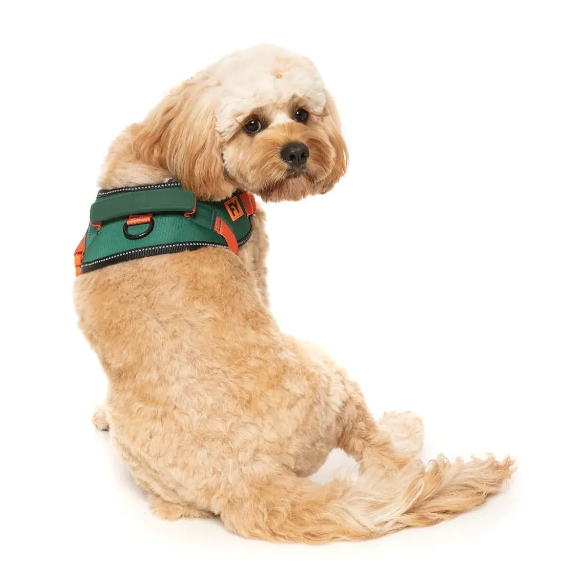 Flash Harness - Commando