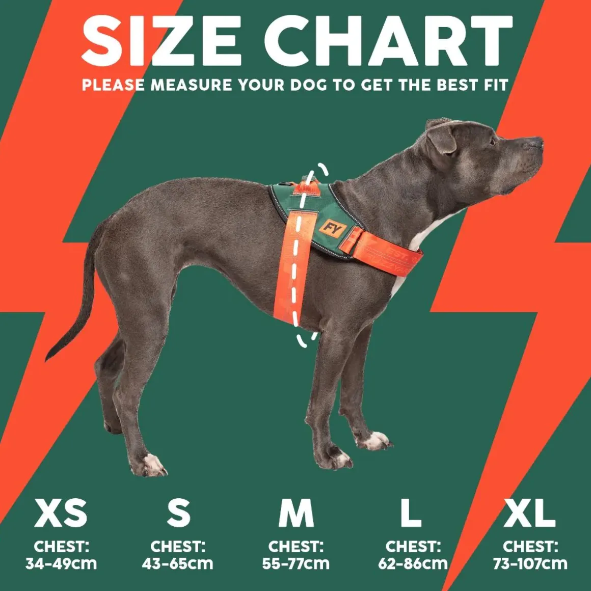 Flash Harness - Commando