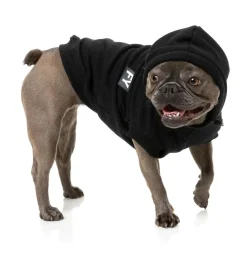 Flash Hoodie - Black