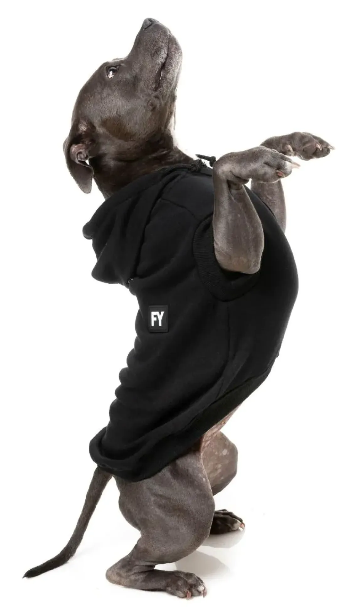 Flash Hoodie - Black