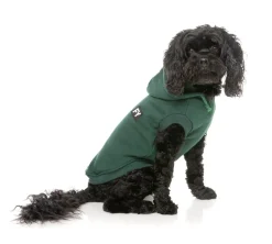 Flash Hoodie - Green