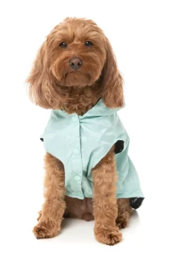 Flipside 24 Raincoat - Mint