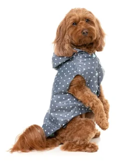 Flipside 24 Raincoat - Mint