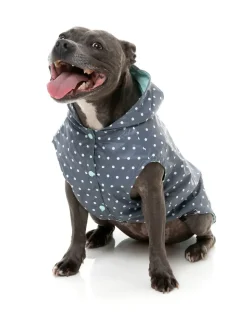 Flipside 24 Raincoat - Mint