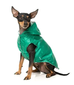 Flipside Raincoat - Green/Beige