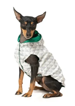 Flipside Raincoat - Green/Beige