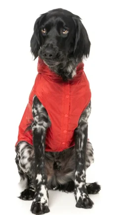 Flipside Raincoat - Red/Black/White