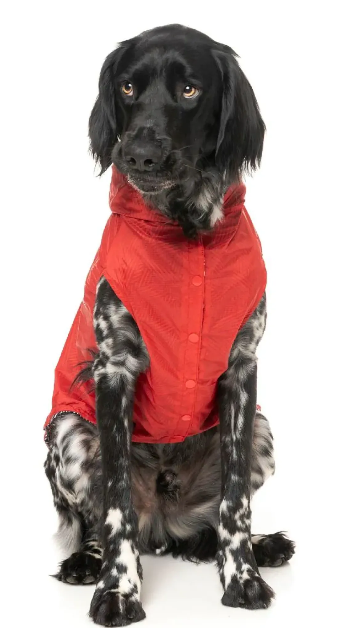 Flipside Raincoat - Red/Black/White