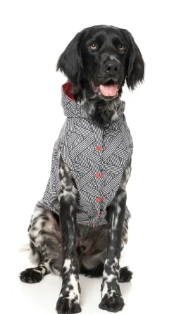 Flipside Raincoat - Red/Black/White