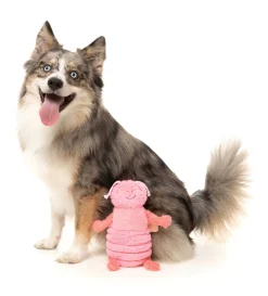 Flutter The Bed Bug (Pink) - Dog Toy