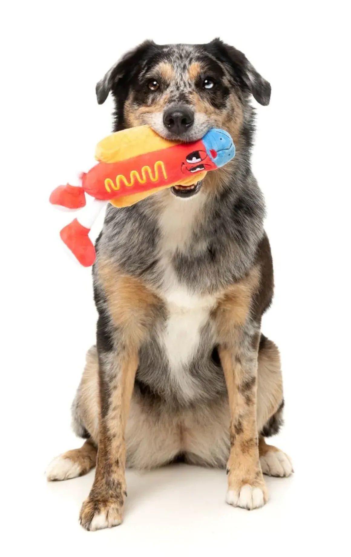 Franky - The Homies - Dog Toy