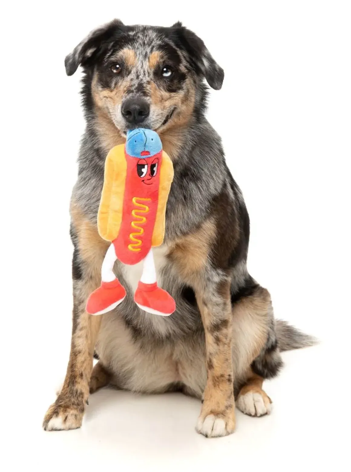 Franky - The Homies - Dog Toy