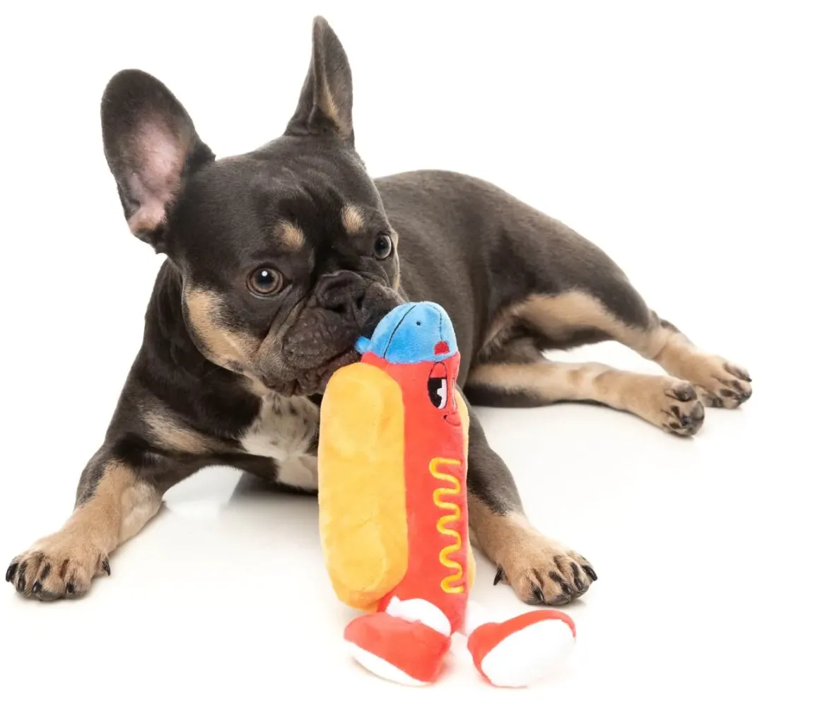 Franky - The Homies - Dog Toy