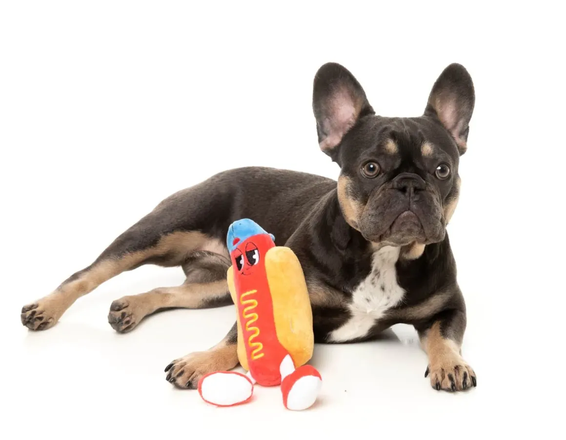 Franky - The Homies - Dog Toy