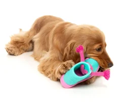 Fresh Kicks 'N' Licks - Interactive Chew Toy