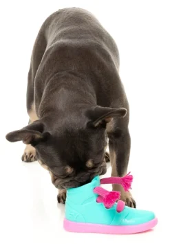 Fresh Kicks 'N' Licks - Interactive Chew Toy