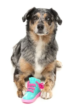 Fresh Kicks 'N' Licks - Interactive Chew Toy