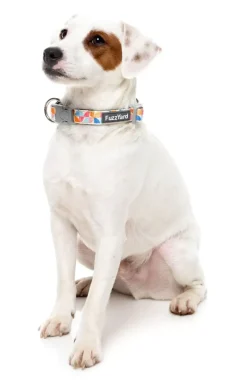 Fresh Zest - Dog Collar