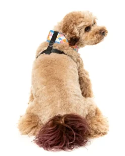 Fresh Zest - Dog Harness