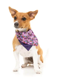 FuzzYard Fiesta - Bandana