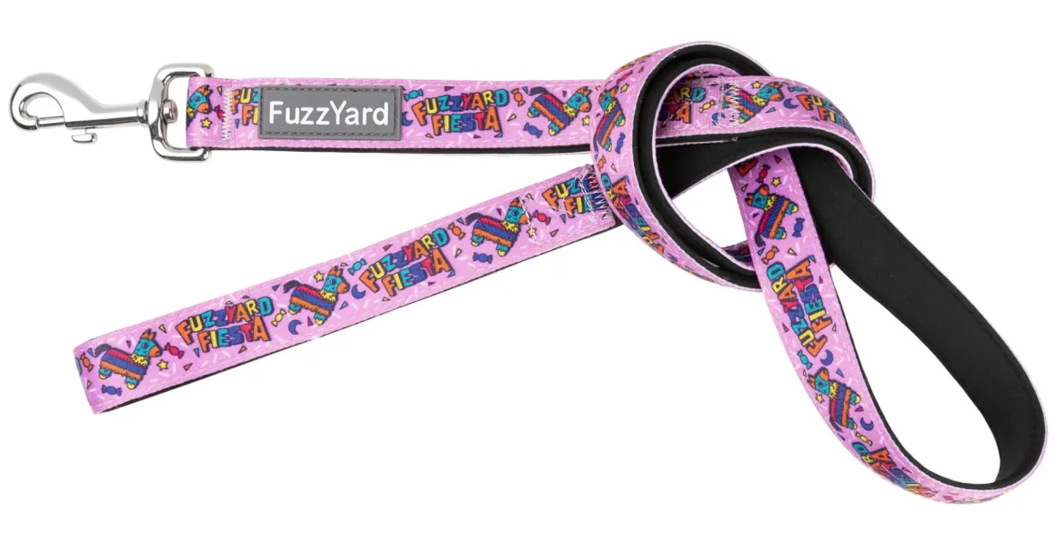 FuzzYard Fiesta - Dog Lead
