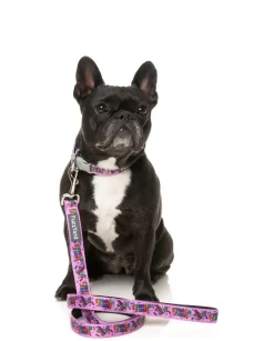 FuzzYard Fiesta - Dog Lead