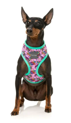 FuzzYard Fiesta - Harness