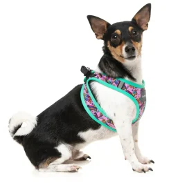 FuzzYard Fiesta - Step In Harness