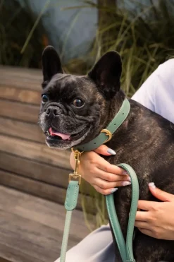 FuzzYard Life Atelier Dog Rope Lead - Myrtle Green