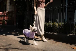 FuzzYard Life Atelier Dog Rope Lead - Sandstone