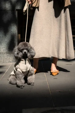 FuzzYard Life Atelier Dog Rope Lead - Sandstone