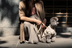 FuzzYard Life Atelier Dog Rope Lead - Sandstone