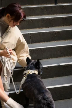 FuzzYard Life Atelier Dog Rope Lead - Sandstone