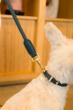 FuzzYard Life Atelier Dog Collar - Slate Grey