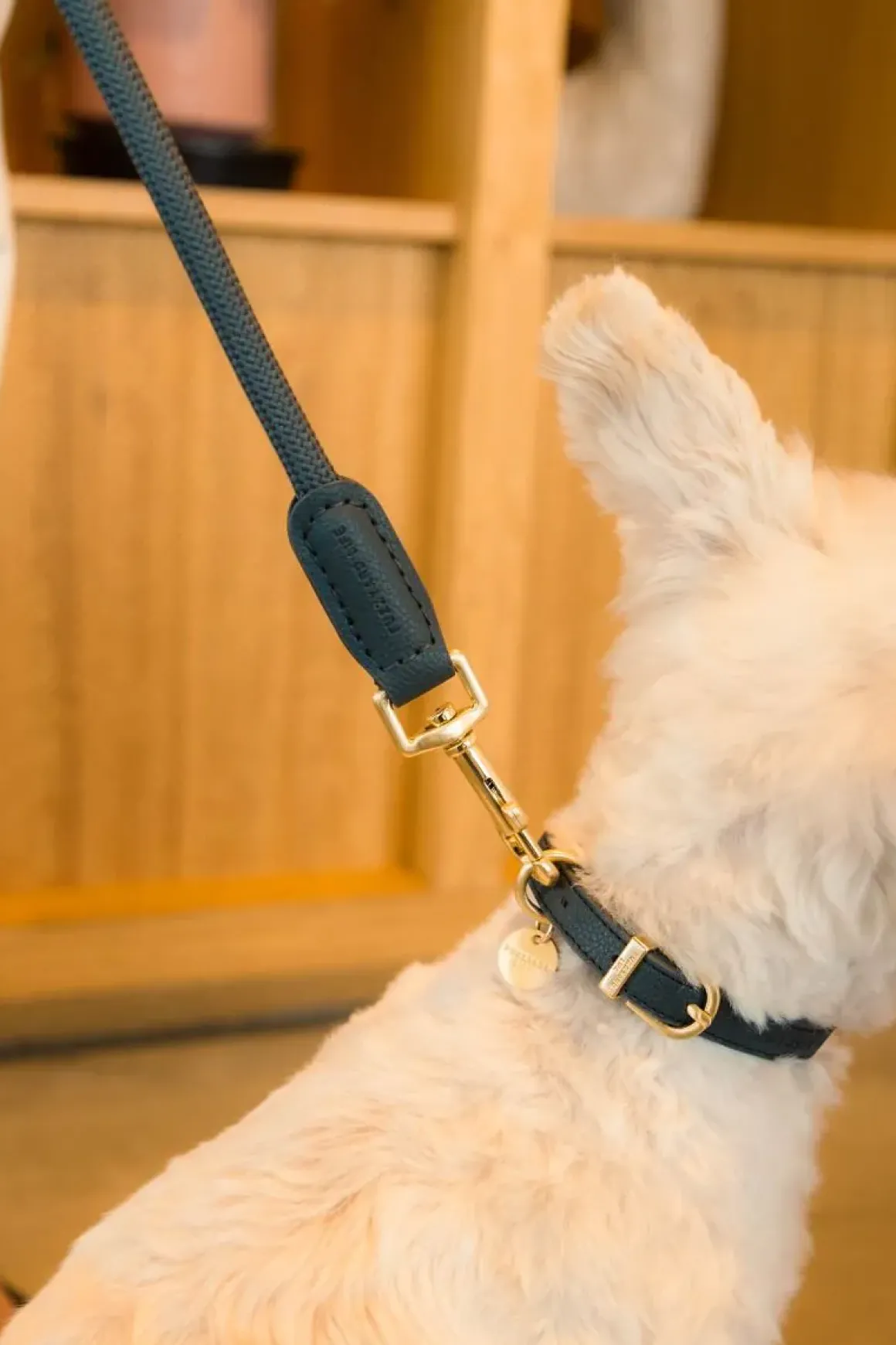 FuzzYard Life Atelier Dog Collar - Slate Grey