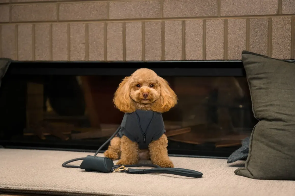 FuzzYard Life Atelier Dog Rope Lead - Slate Grey