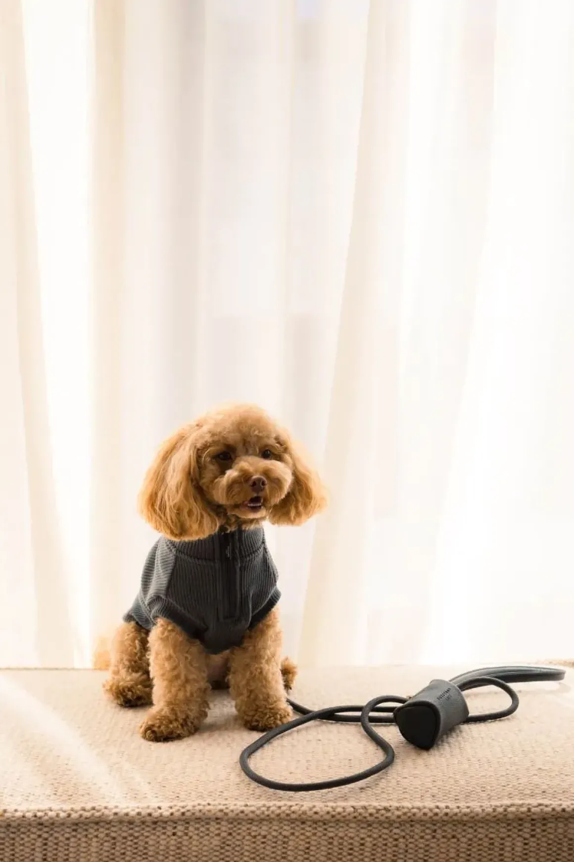 FuzzYard Life Atelier Dog Rope Lead - Slate Grey