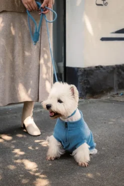 FuzzYard Life Atelier Dog Rope Lead - French Blue