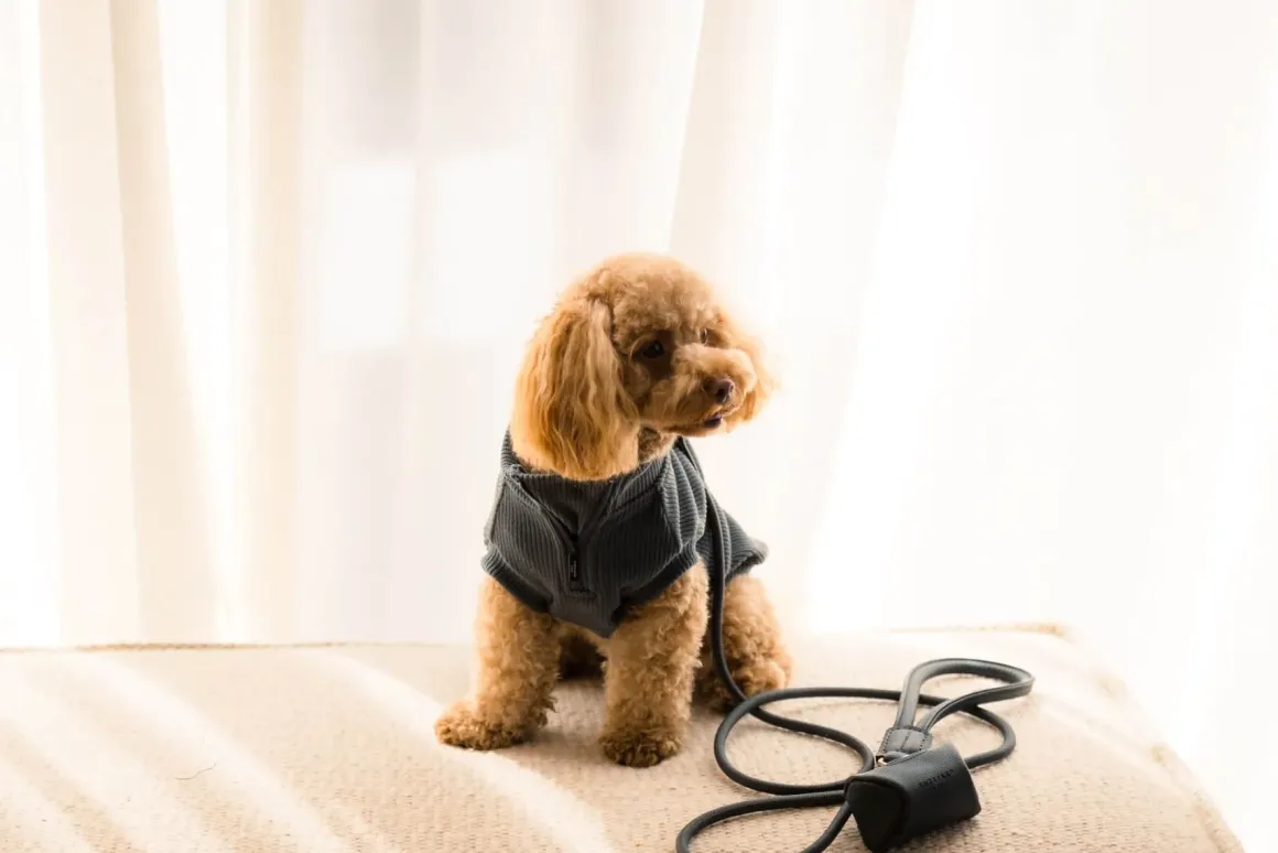 FuzzYard Life Atelier Poop Bag Dispenser - Slate Grey