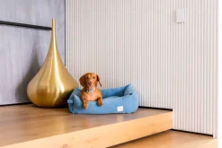 FuzzYard Life Bed - Corduroy Bed - French Blue