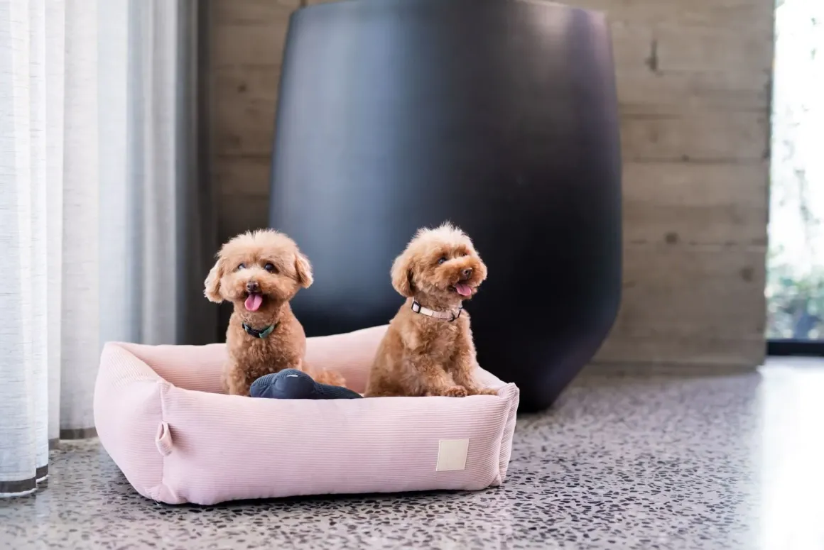 FuzzYard Life Bed - Corduroy Bed - Soft Blush