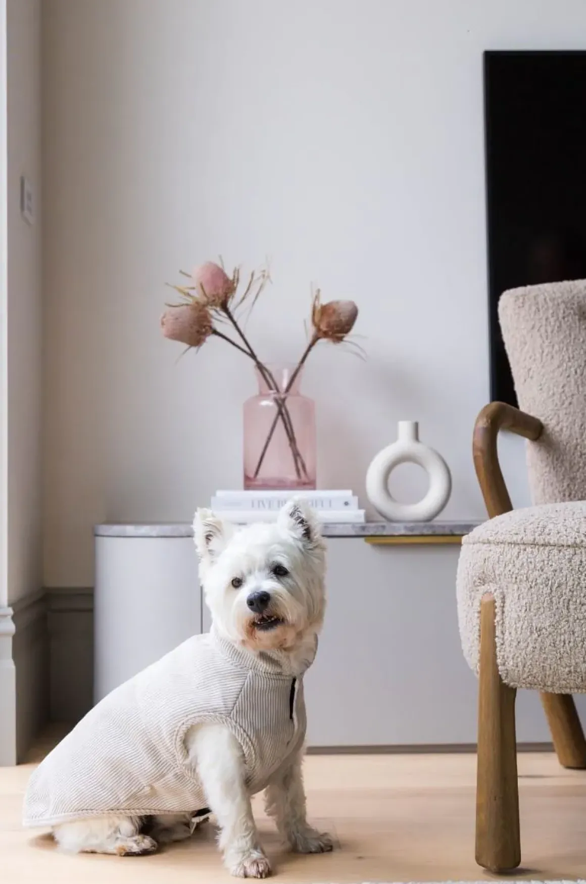 FuzzYard Life Corduroy Jacket - Sandstone