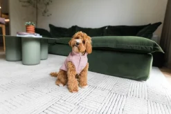 FuzzYard Life Corduroy Jacket - Soft Blush