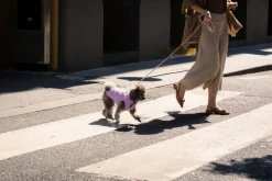 FuzzYard Life Corduroy Jacket - Lilac