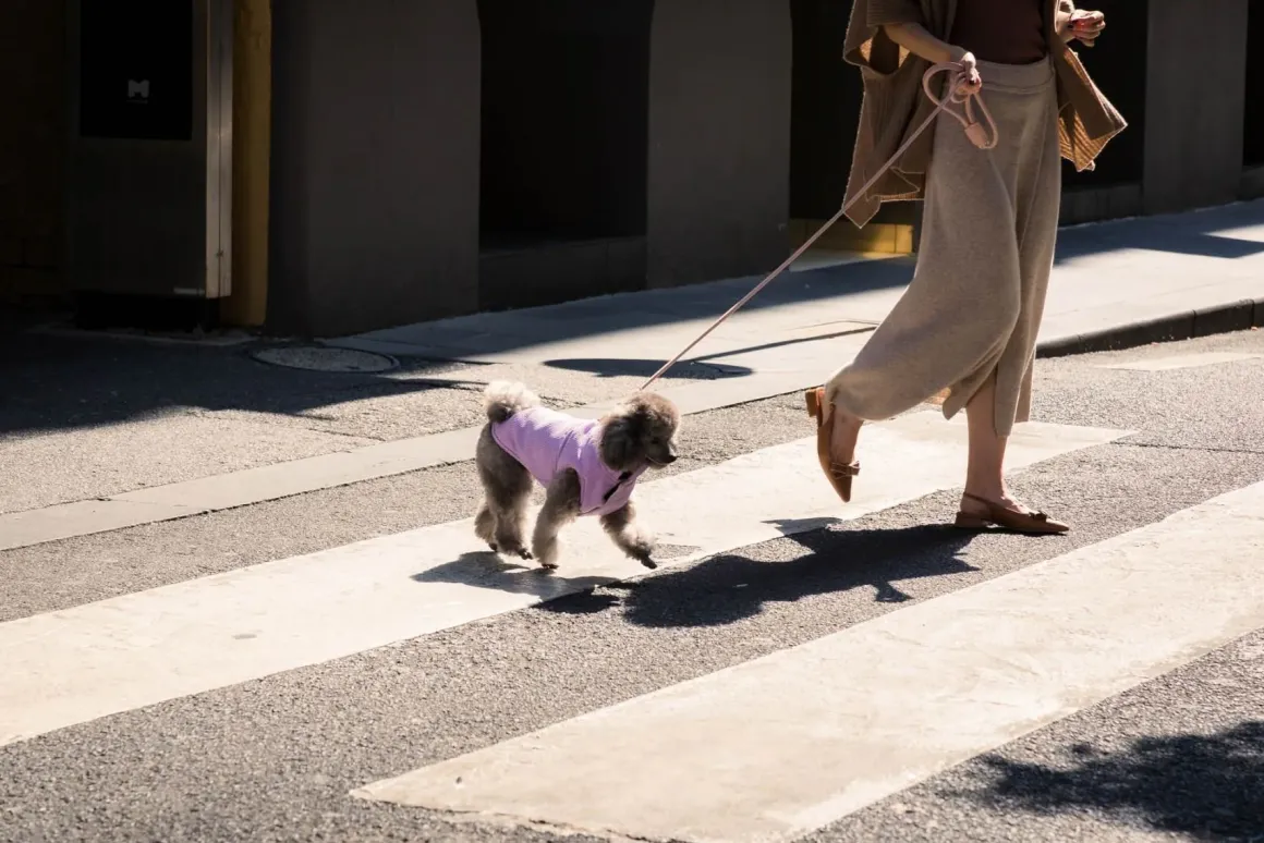 FuzzYard Life Corduroy Jacket - Lilac