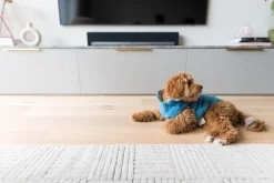 FuzzYard Life Corduroy Jacket - French Blue